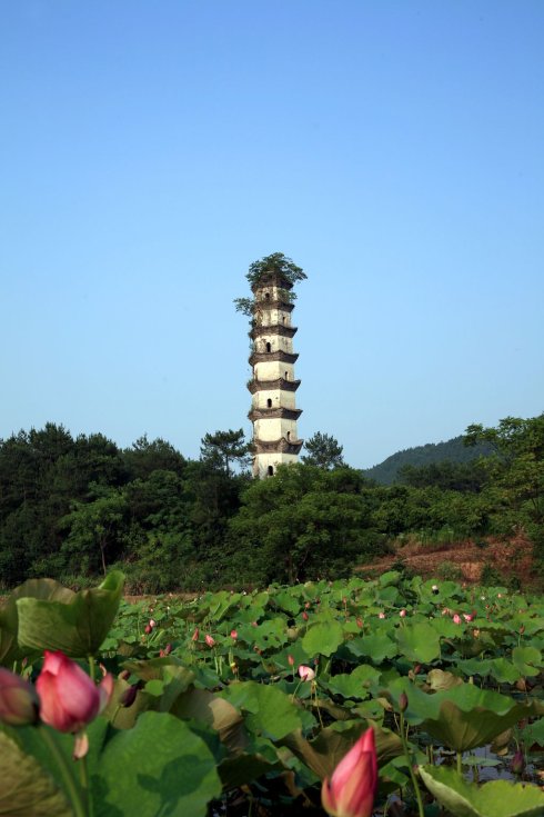 绍衣堂和横山塔-文物游